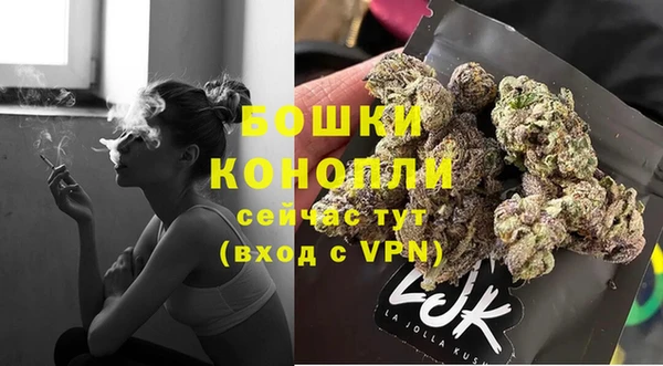 спайс Богородск