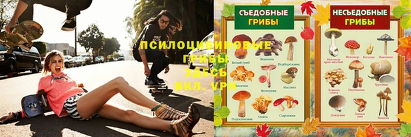 ECSTASY Богородицк