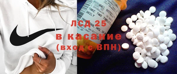 ECSTASY Богородицк