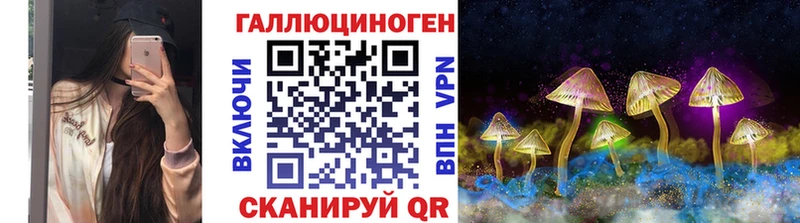 Псилоцибиновые грибы GOLDEN TEACHER  где продают   Пересвет 